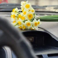 عکاسی خیابانی پاییزه کافه تولد|خدمات پذیرایی، مراسم|قم, دانش|دیوار