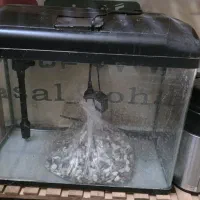 اکواریوم شرکتی