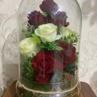 گل زیبا
