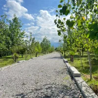 زمین-های-به-شرط-ساخت