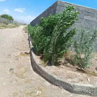 واگذاری گاوداری شیری فعال