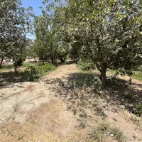 باغچه/تهاتر/انبارتپه /چسب بافت/دورفنس|فروش زمین و ملک کلنگی|تنکمان, |دیوار