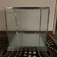 باکس بله برون