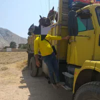 فروش انواع اسب همه مدل همه قیمت