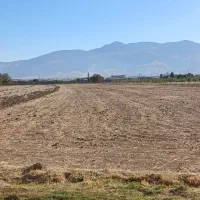 فروش زمین کشاورزی|فروش دفتر صنعتی، کشاورزی، تجاری|شیروان (لرستان), |دیوار