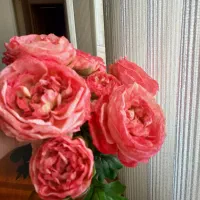 گل مصنوعی|گل مصنوعی|همدان, |دیوار