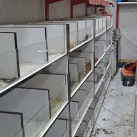 واگذاری و فروش وسایل عطاری|فروشگاه و مغازه|کرج, باغستان|دیوار