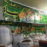 باغبان باغات چای اینجاست