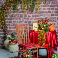 دکور های یلدا استودیوبرقی در سیرجان