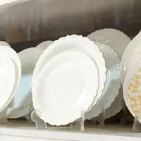 ارکوپال، اکروپال، پارس اپال 120 ابی|ظروف سرو و پذیرایی|قم, نیروگاه|دیوار