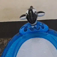 استخر بادی بزرگ|اسباب‌‌بازی|تهران, سردارجنگل|دیوار