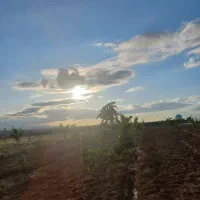 فروش انواع زمین کشاورزی و باغی(نقد و اقساط)