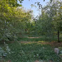 فروش باغ 1204روستای قشلاق|فروش زمین و ملک کلنگی|فیرورق, |دیوار