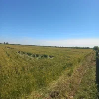 زمین مرغوب در موقعیت مناسب اجاره برای سیر