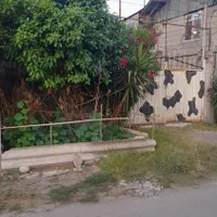 زمین   ویلایی