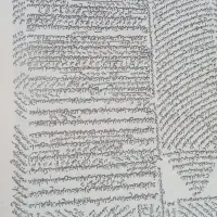 کتاب خطی