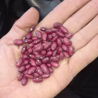 مواد غذایی|خوردنی و آشامیدنی|تهران, مظاهری|دیوار