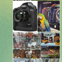 جذب پرسنل(آقاوخانم)درمجموعه تله کابین رامسر