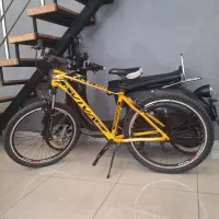 دوچرخه ویوا ایگوانا