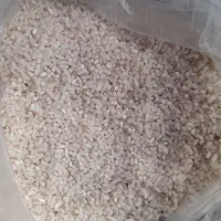 برنج لاشه شیرودی