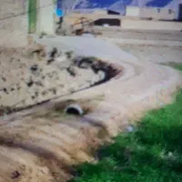 اجاره زمین کشاورزی