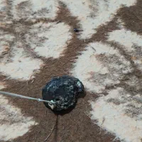 سنگهای قیمتی اصل|کلکسیون اشیاء عتیقه|کوار, |دیوار