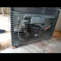 یخچال نو وتمیز|یخچال و فریزر|جوانرود, |دیوار