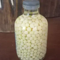 خاویارتازه حلزون