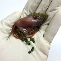 نیازبه راهنما