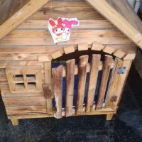 توله سگ زرنگ و بازیگوش همراه با خانه اش