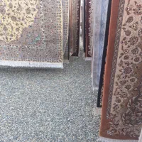 قالیشویی در گلستان صالحیه واوان