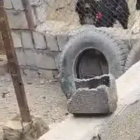سگ قهدریجانی قدرجونی
