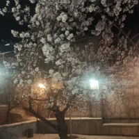 زمین-باغ-باغچه-ویلا