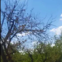 ۵۰۰ متر خوشنام.  اکسیر  زیر قیمت