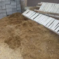 زل مرغ کود گوسفندگاو|گل و گیاه طبیعی|خمینی‌شهر, |دیوار