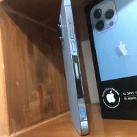 Iphone 13pro|موبایل|پرند, فاز ۶|دیوار