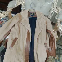 پالتو زنانه|لباس|مشهد, موعود|دیوار