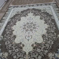 قالی۱۲متری