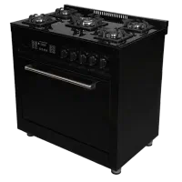 اجاق گاز ساینوم