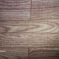 موکت|موکت|قم, باغ کرباسی|دیوار