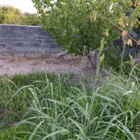 باغچه فروشی منجیل آباد|فروش زمین و ملک کلنگی|رباطکریم, منجیل آباد|دیوار