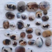 سنگ شجرها قائن