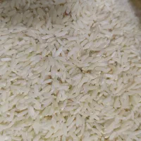 برنج طارم دورود