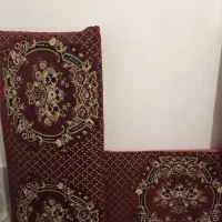پشتی سالم