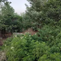 فروش زمین ۲۰۶ متری مسکونی|فروش زمین و ملک کلنگی|رشت, لاکان|دیوار