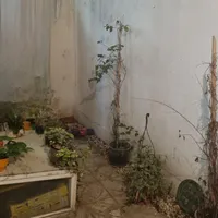 فروش خاص ۲ واحد در ۱ سند طبقه همکف و زیر زمین|فروش آپارتمان|تهران, هاشمی|دیوار