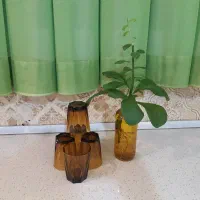 نیم لیوان عسلی کاوه