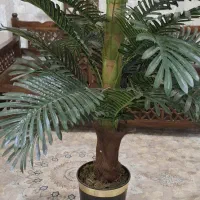 گل مصنوعی|گل مصنوعی|نسیم‌شهر, |دیوار