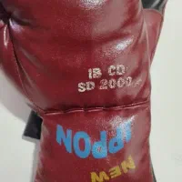 دستکش بوکس چرمی|تجهیزات ورزشی|بروجرد, |دیوار