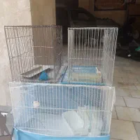 قفس پرنده